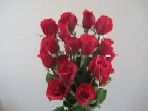  Farmington Flower Farmington Florist  Farmington  Flowers shop Farmington flower delivery online  WV,West Virginia:Simply Red Roses Plus 6 Free